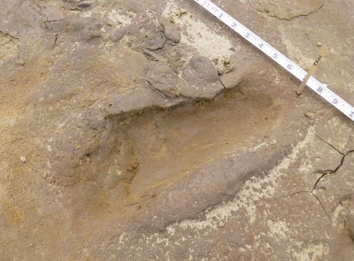 7000 year old footprint on Formby beach