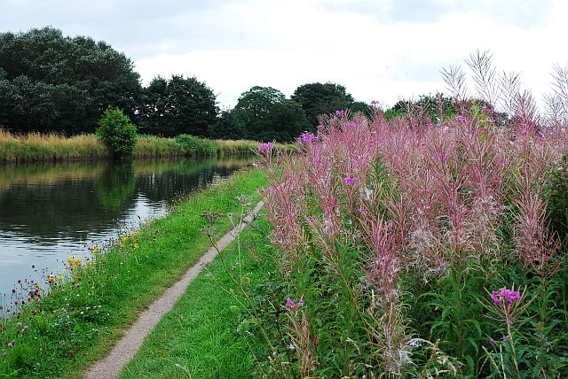 Walking the Mersey (sort of) from south Manchester to Warrington