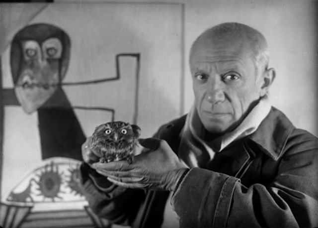 Picasso and owl 