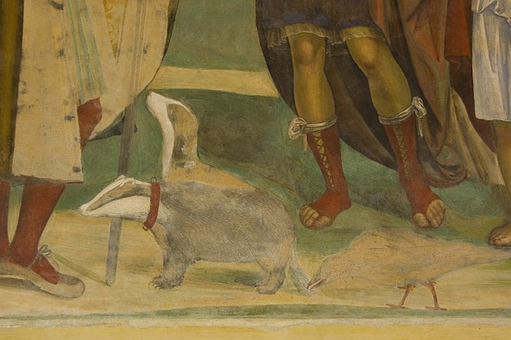 Detail of Sodoma’s ‘Life of St Benedict’ (1505), showing an unusual example of badgers as pets