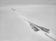 Genesis: Nenet reindeer herd Siberia