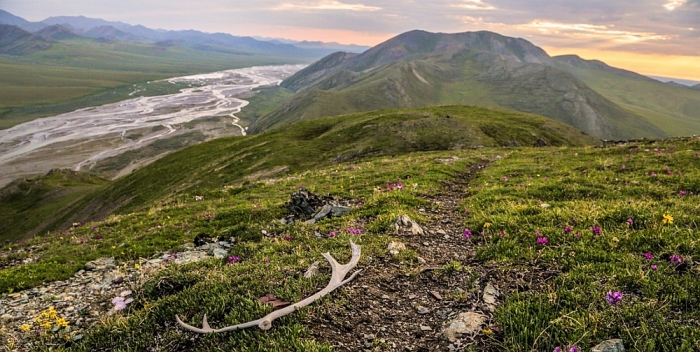 The Arctic National Wildlife Refuge 