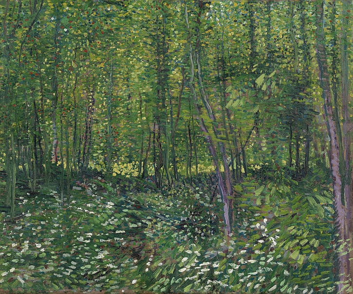 Vincent van Gogh, Trees and Undergrowth, 1887