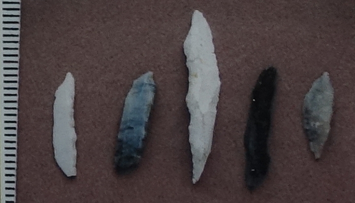 Flint and chert points found at Lunt Meadows